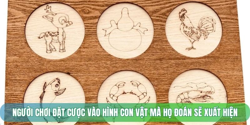 Người chơi đặt cược vào hình con vật mà họ đoán sẽ xuất hiện