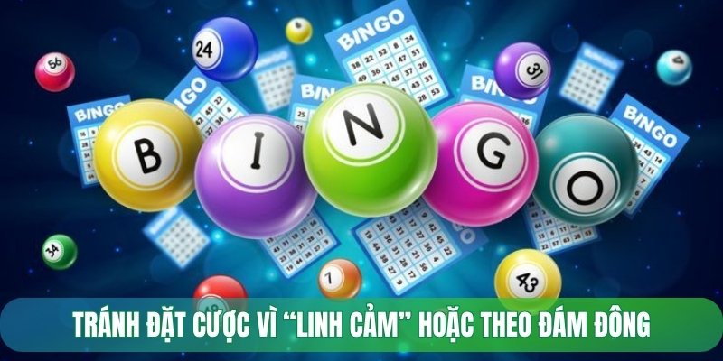 Tránh đặt cược vì “linh cảm” hoặc theo đám đông