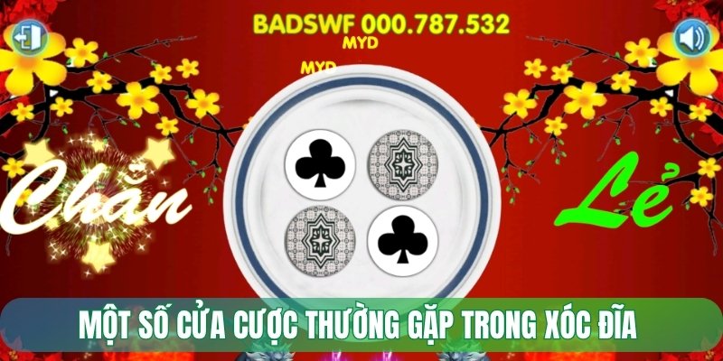 Một số cửa cược thường gặp trong xóc đĩa